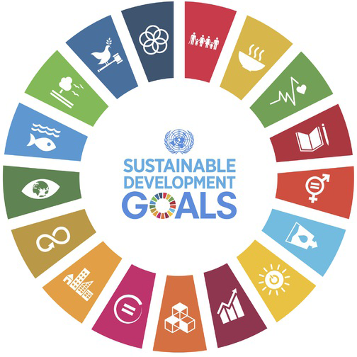 Hva er FNs bærekraftsmål?